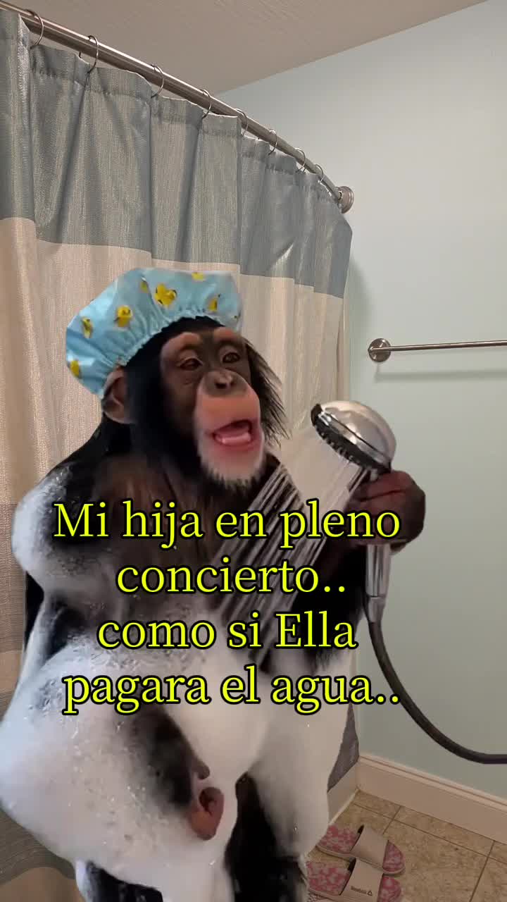 @Isabel Landa