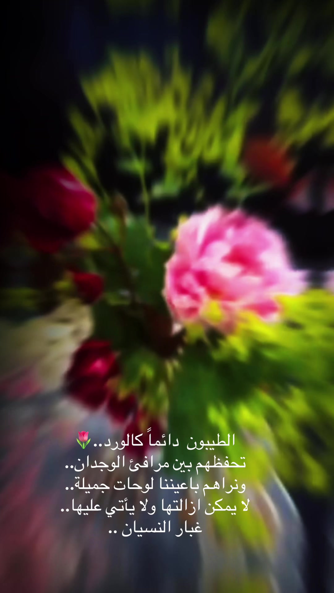 @Roza Issa
