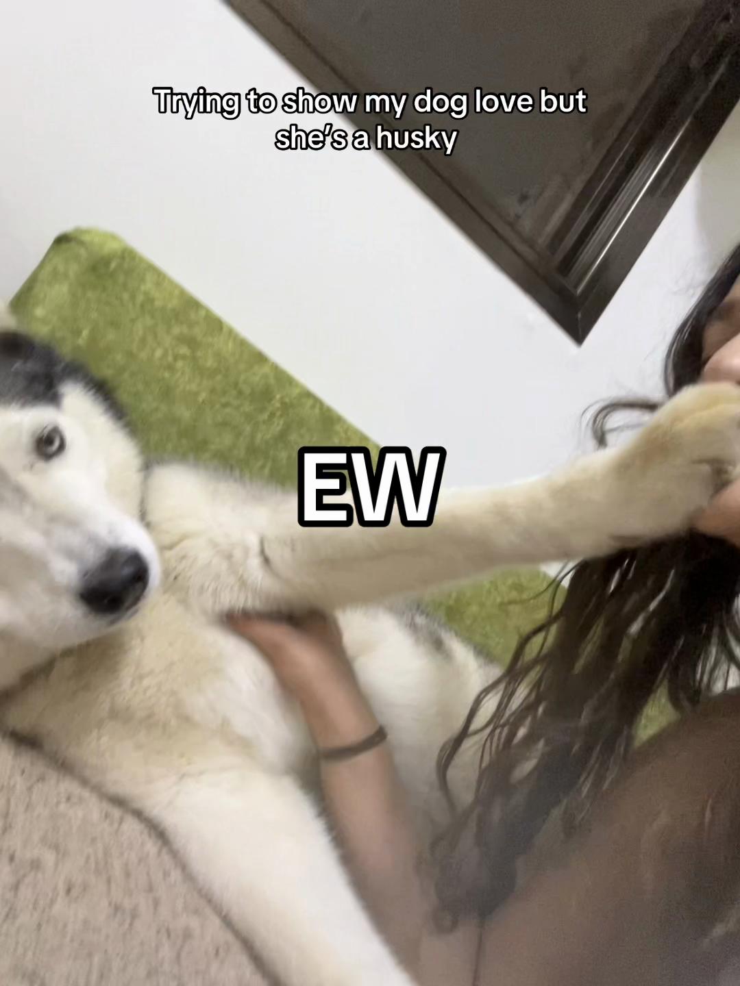 @Nala & Bella 💜