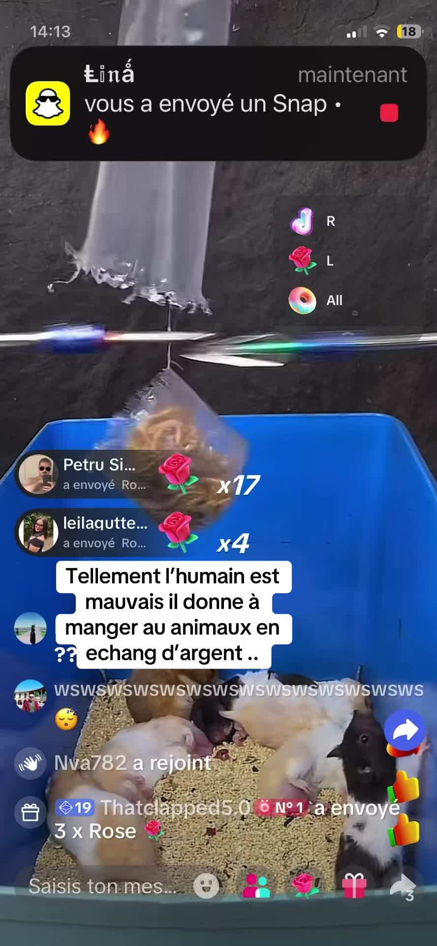 @Nva782