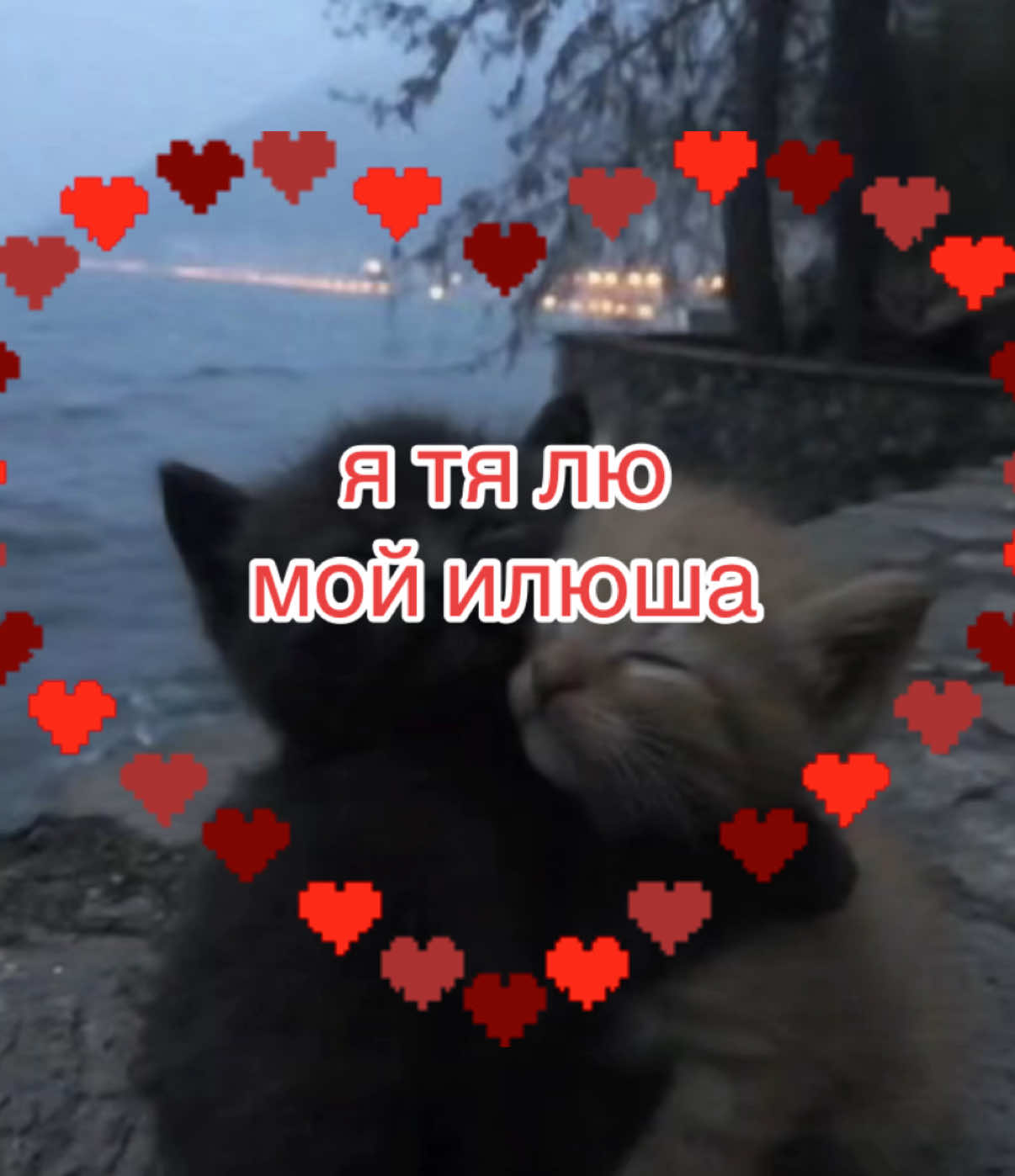 @люблю илюшу