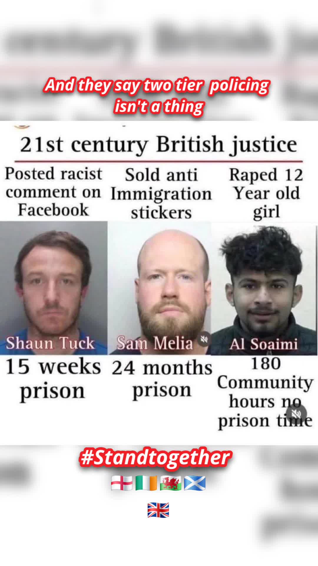 @꧁ঔৣ࿇̶W̶o̶l̶f̶࿇ঔৣ꧂