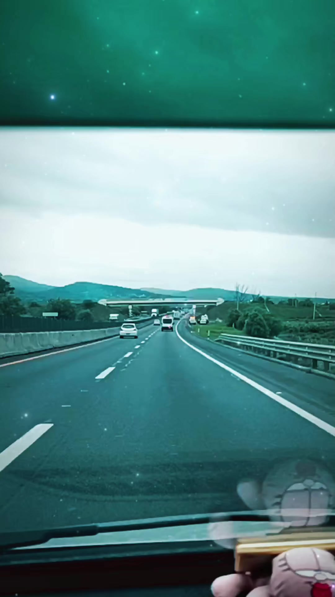 @osito alokadito 🙃🧸