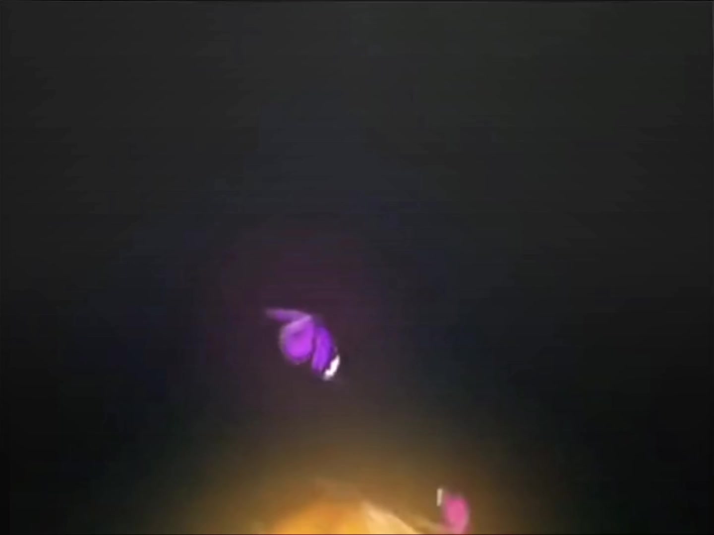 @𝐅𝐨𝐍 &bull;| 𝐓𝐞𝐯𝐢𝐧 ✰