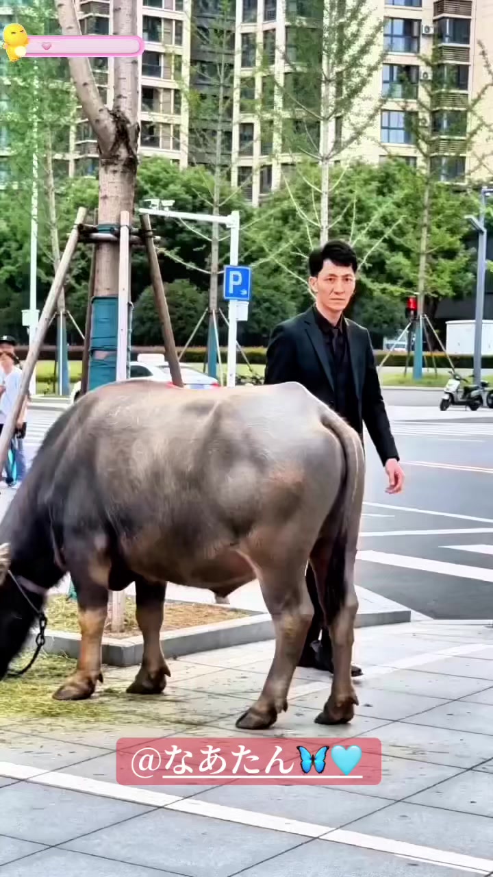 @750キラー
