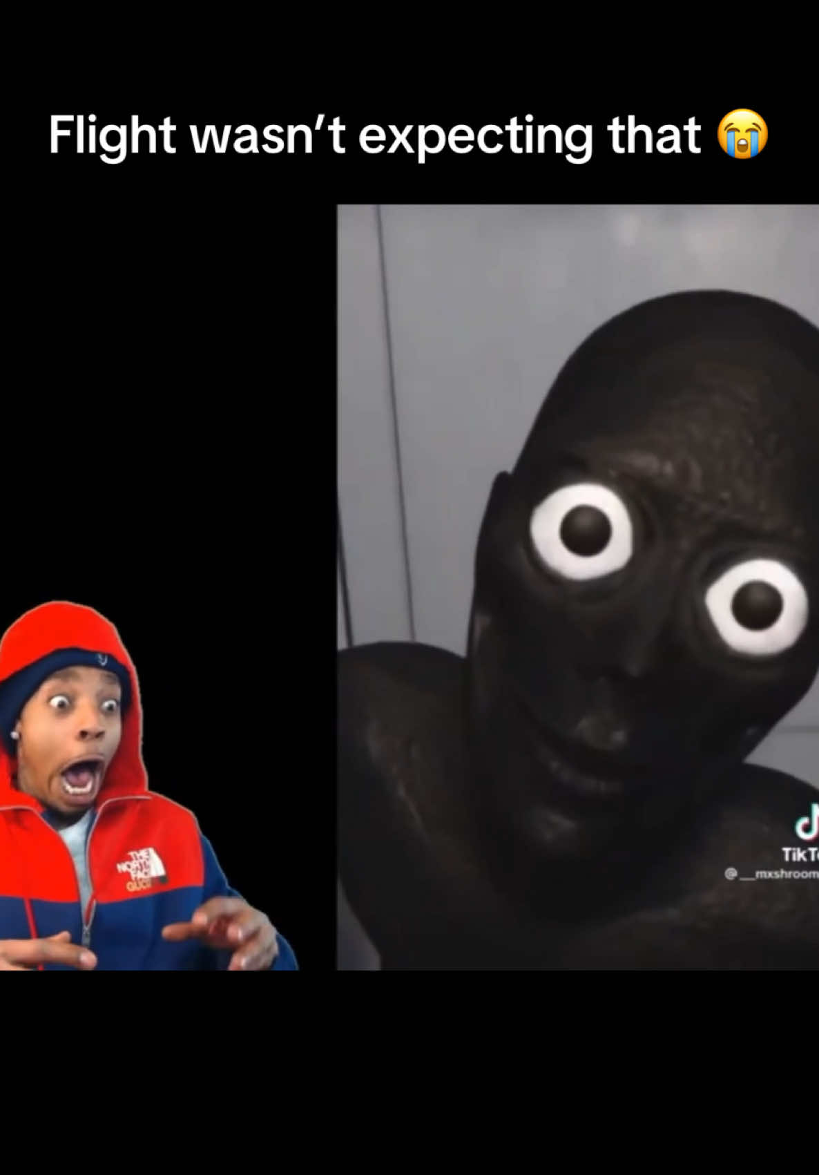 @FlightReactsTopClips