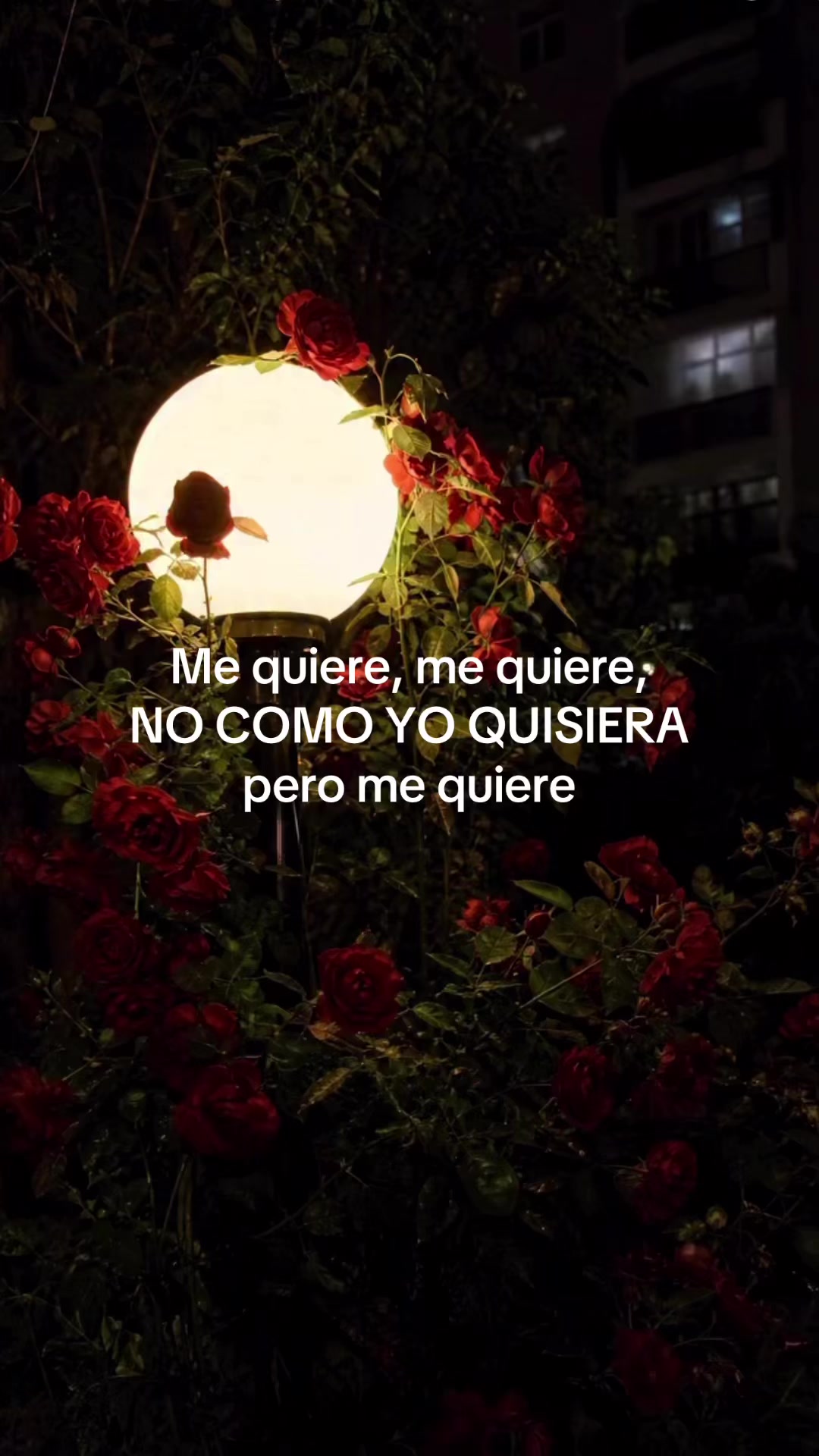 @Music🎙️