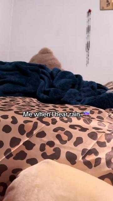 @artzceli