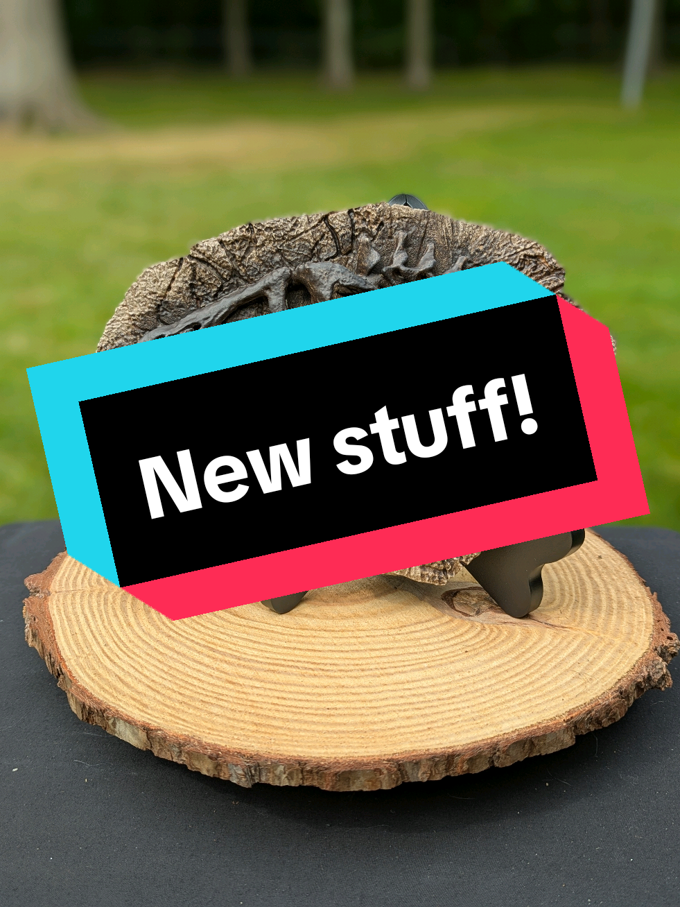 @TheCraftcrypt