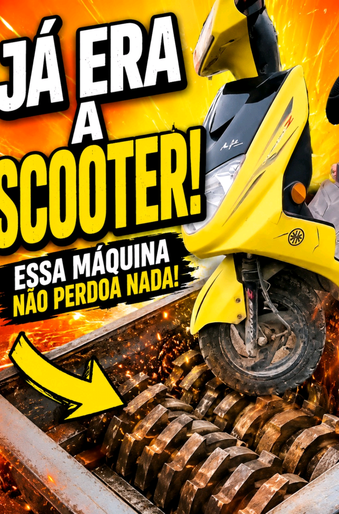 @RAIZ DO SABER