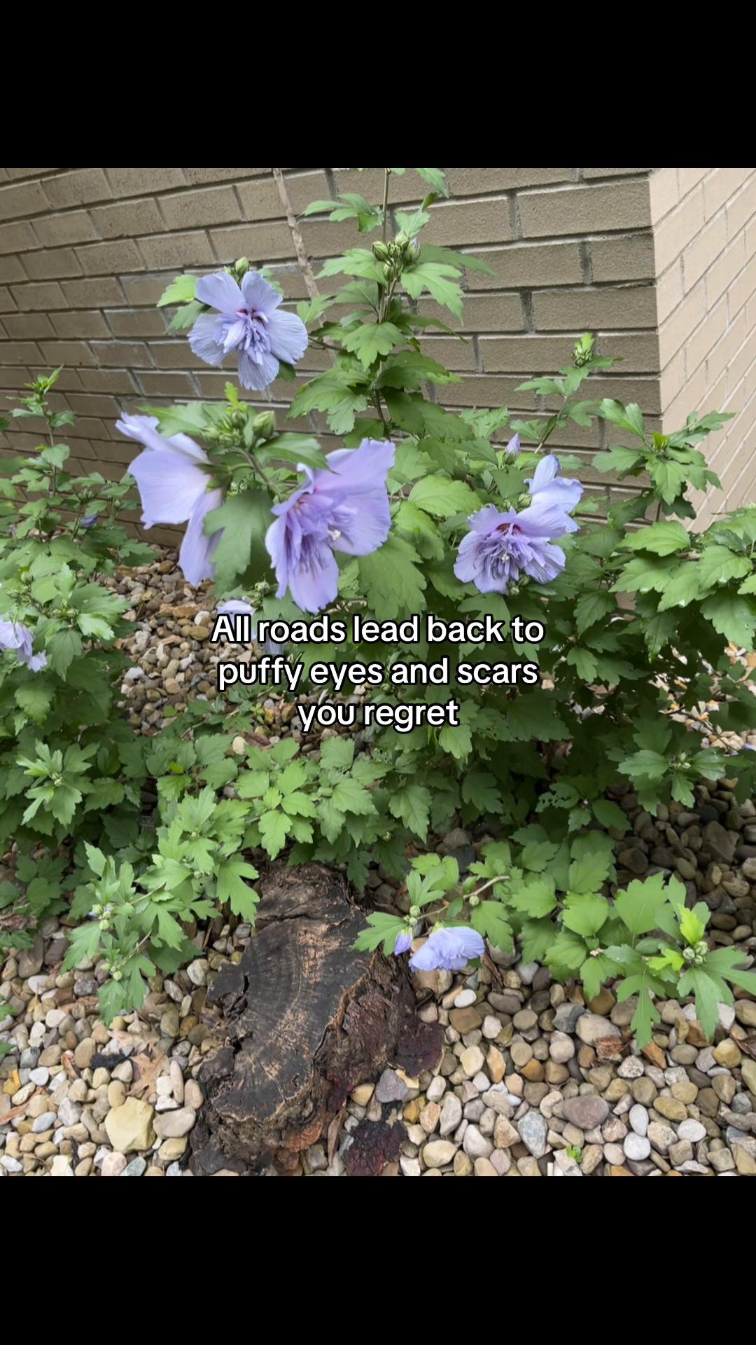 @🤫