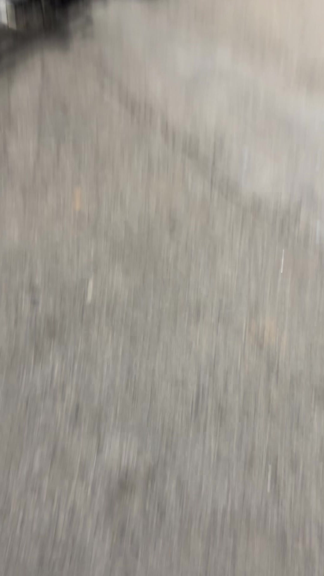 @veglek