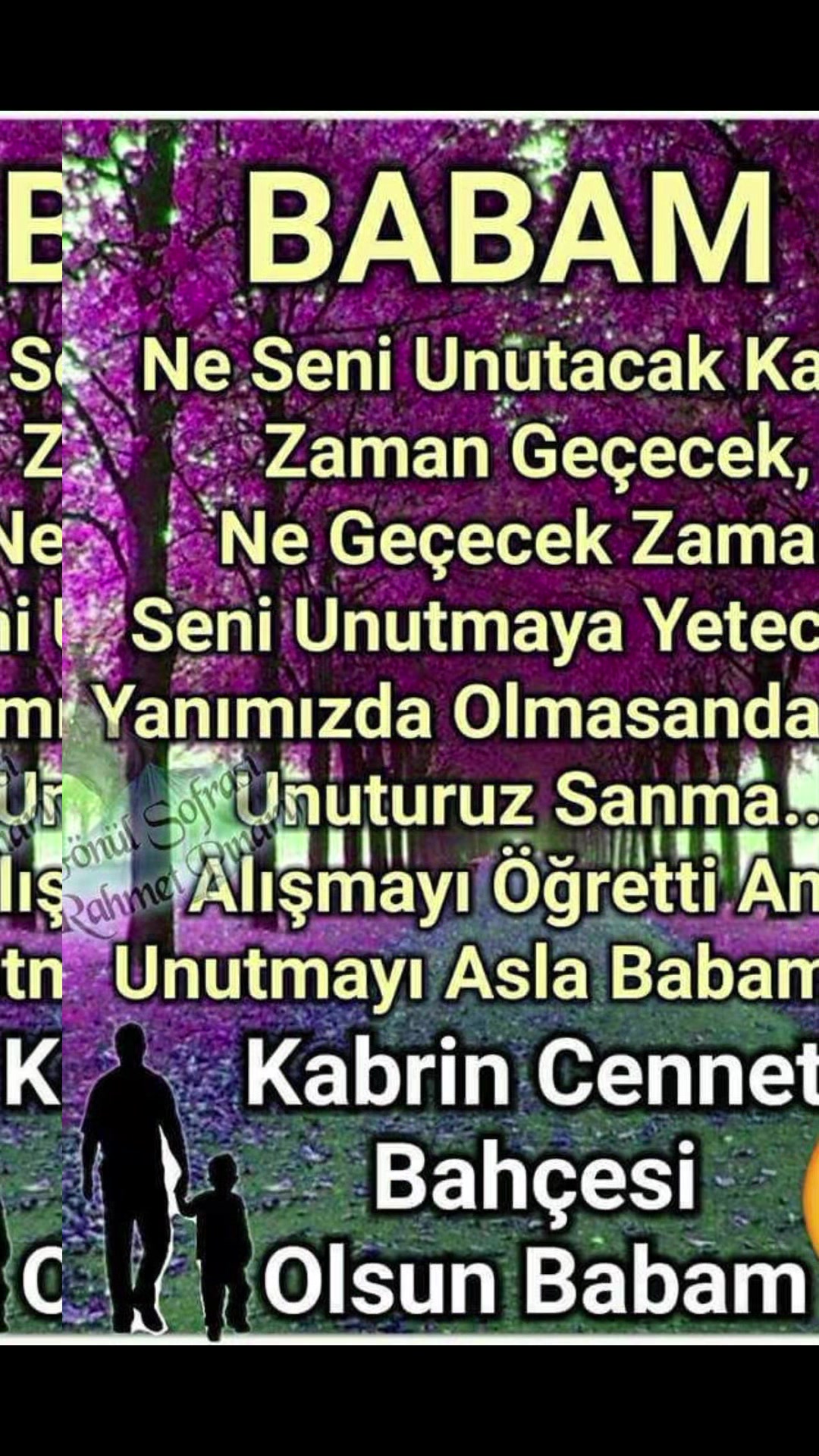 @limon&ccedil;i&ccedil;eği