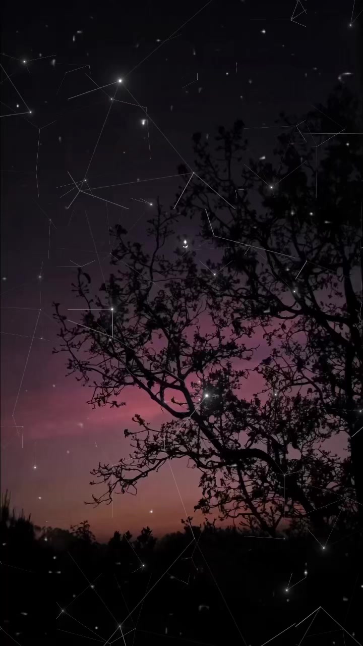 @𝐁𝐀𝐋𝐊𝐀𝐍 𝐒𝐎𝐍𝐆𝐒