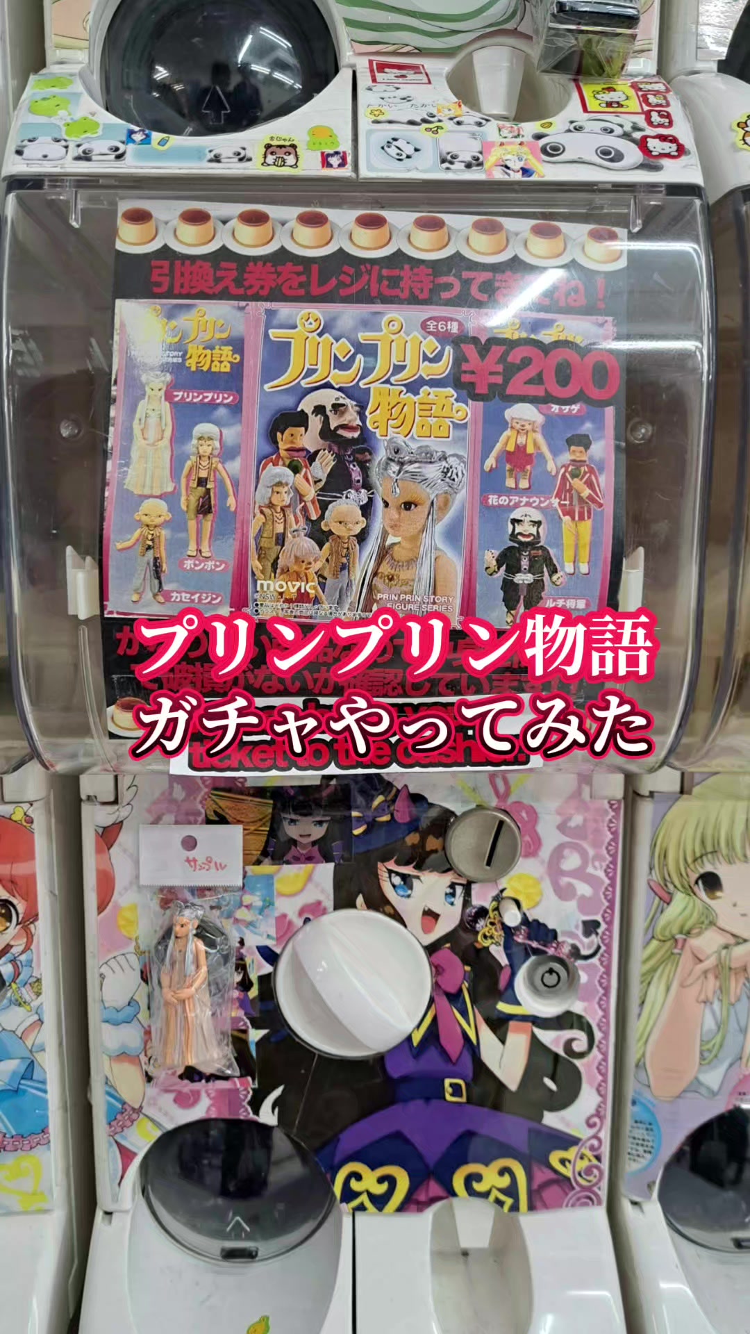 @⭐はむはむ⭐