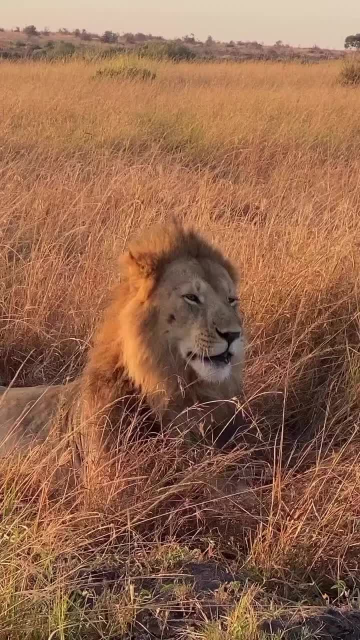 @Албена Граминова