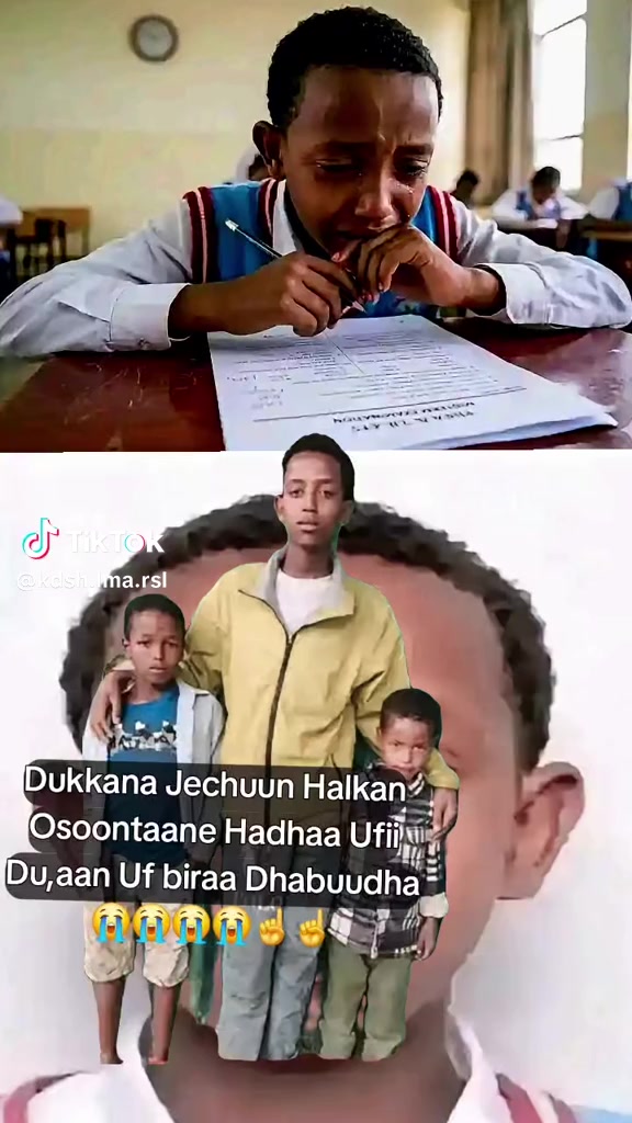@behr mudaa