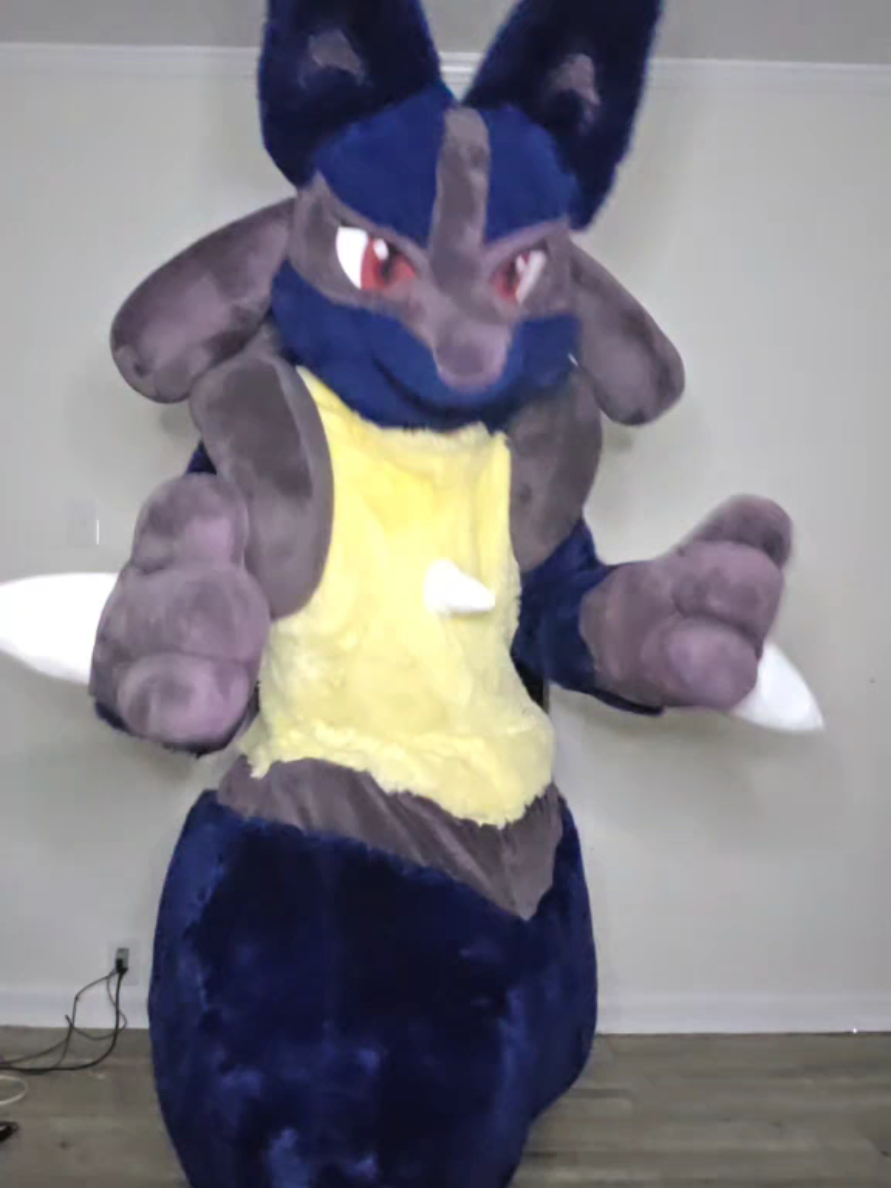 @Furry Mike