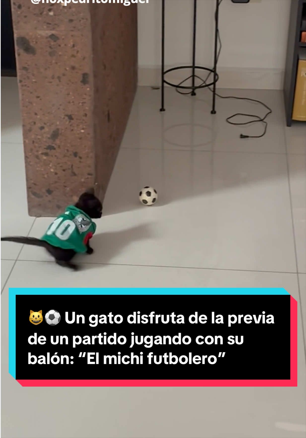 @EL ESPA&Ntilde;OL 🦁