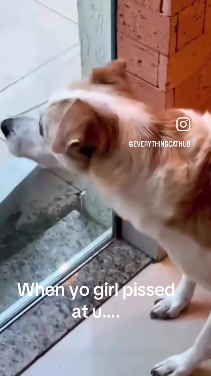 @BlastKrazzie