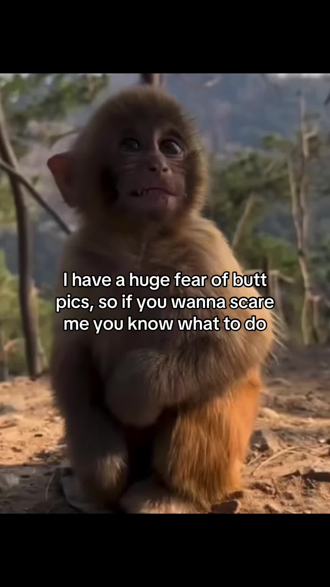 @Boxi