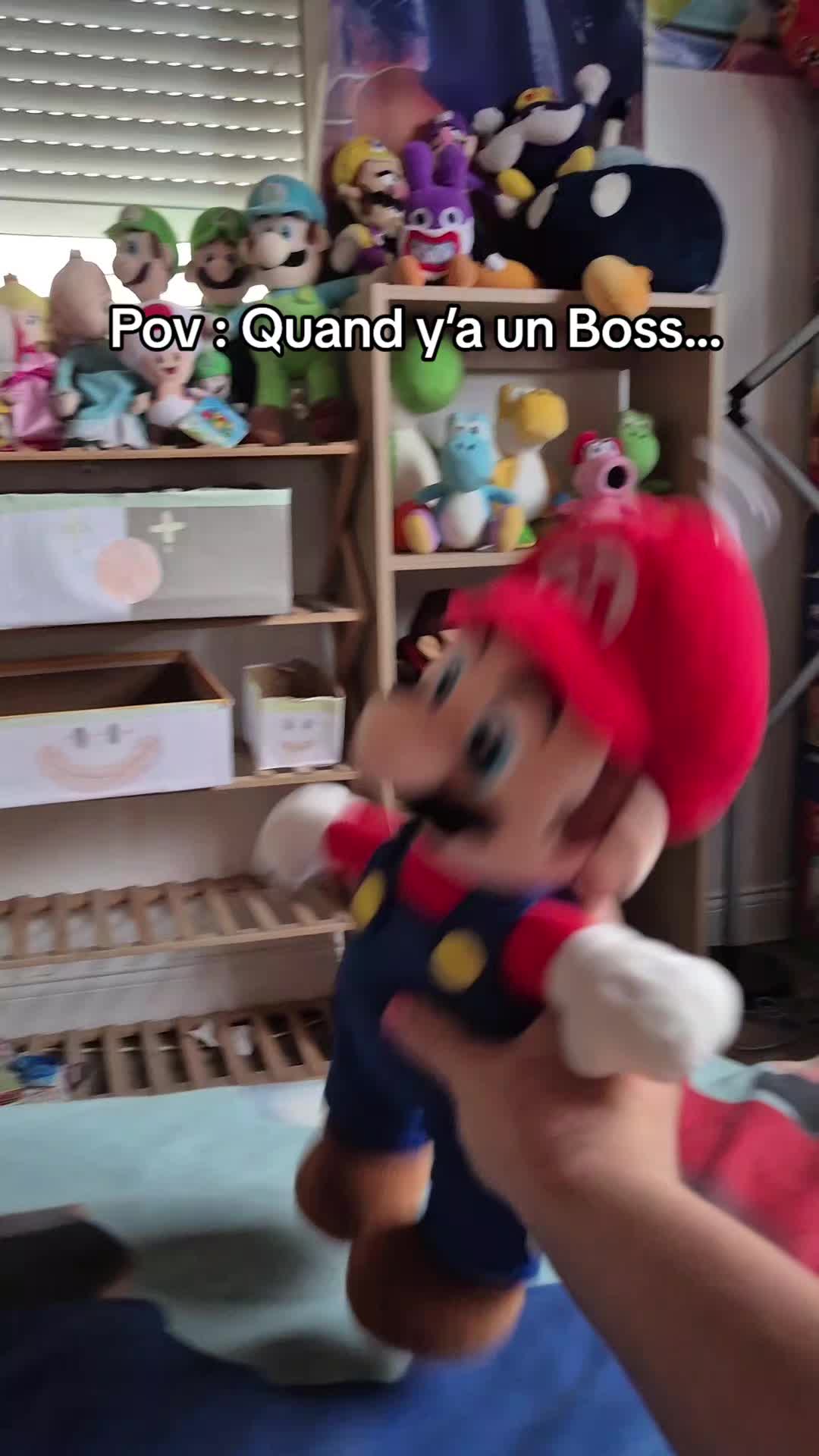 @peluchemario64