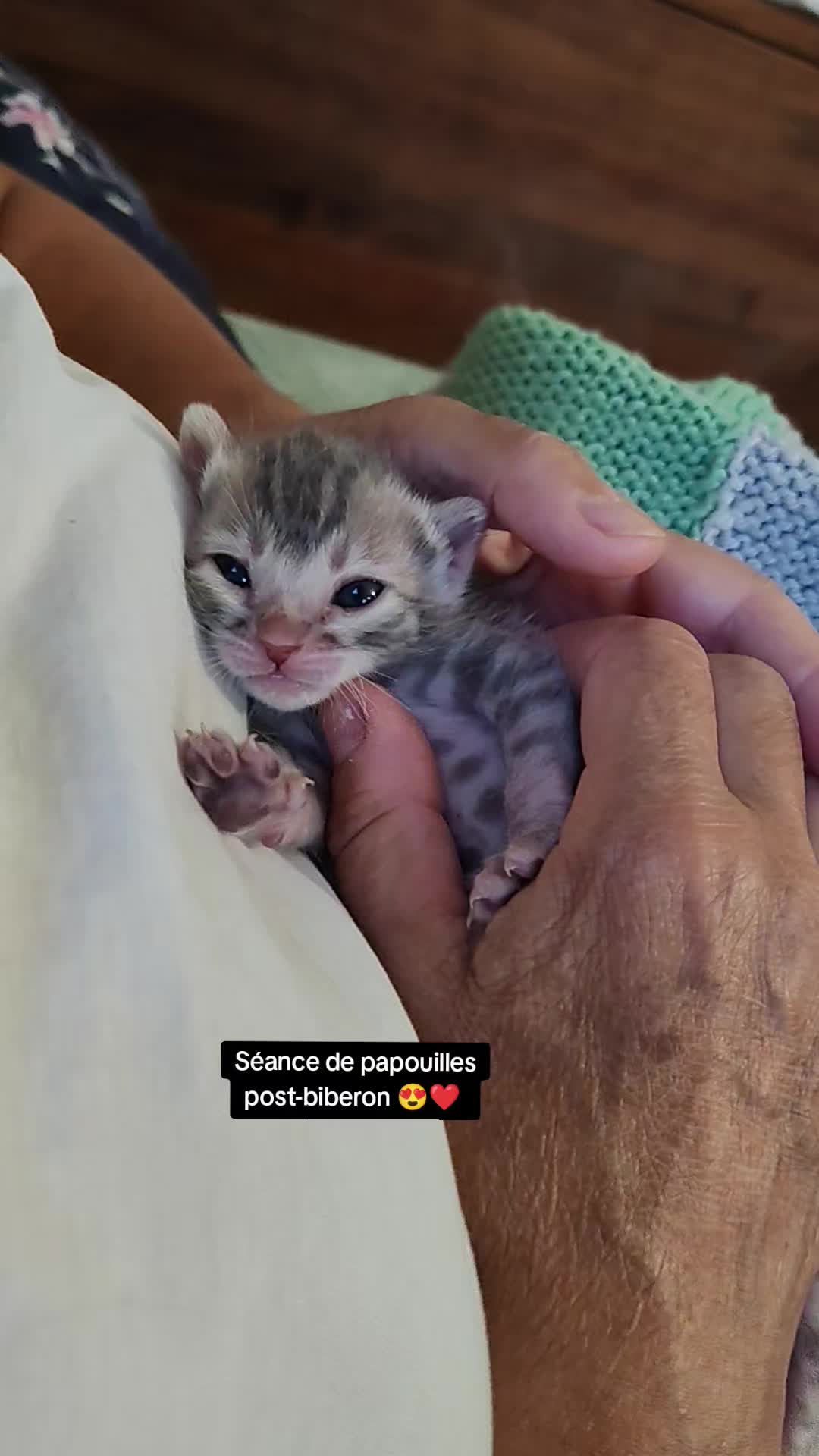 @Galactic Bengal
