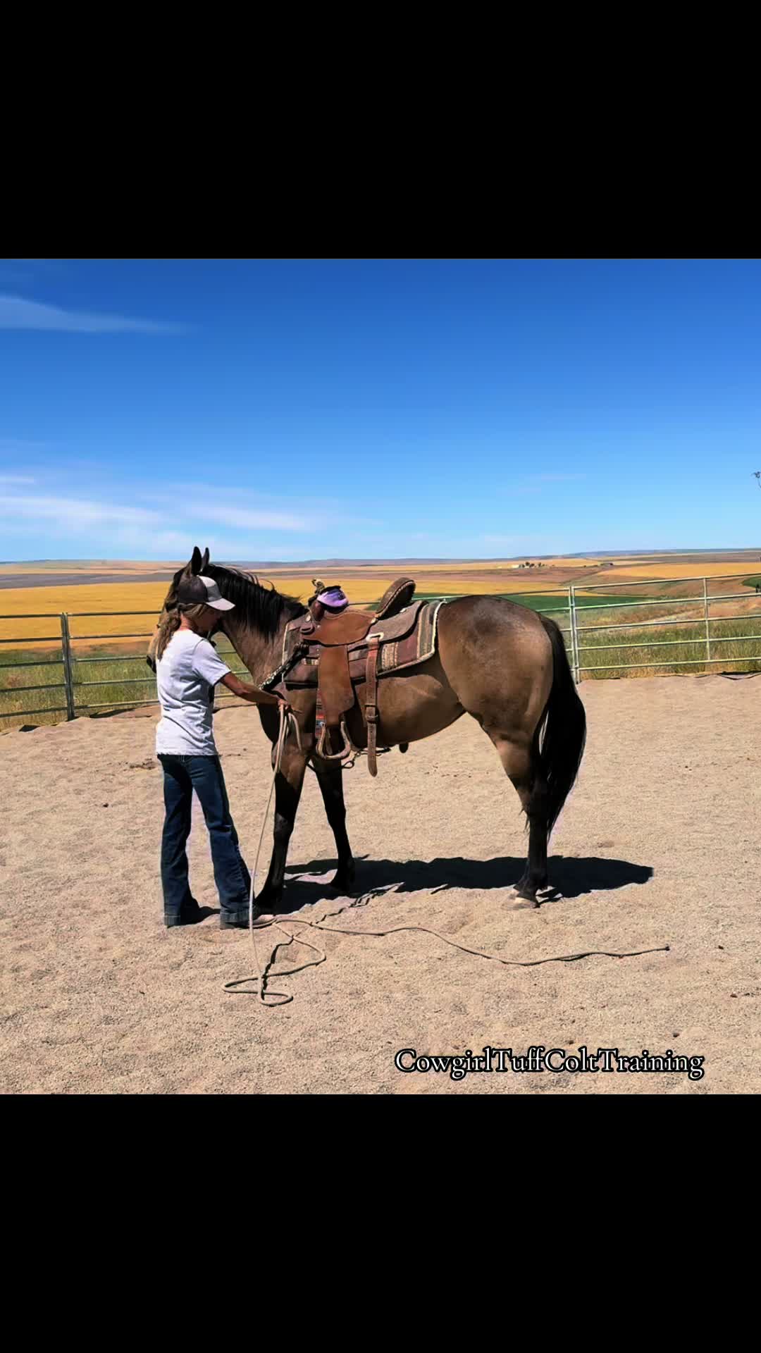@Cowgirl Tuff Colt Training ❤️