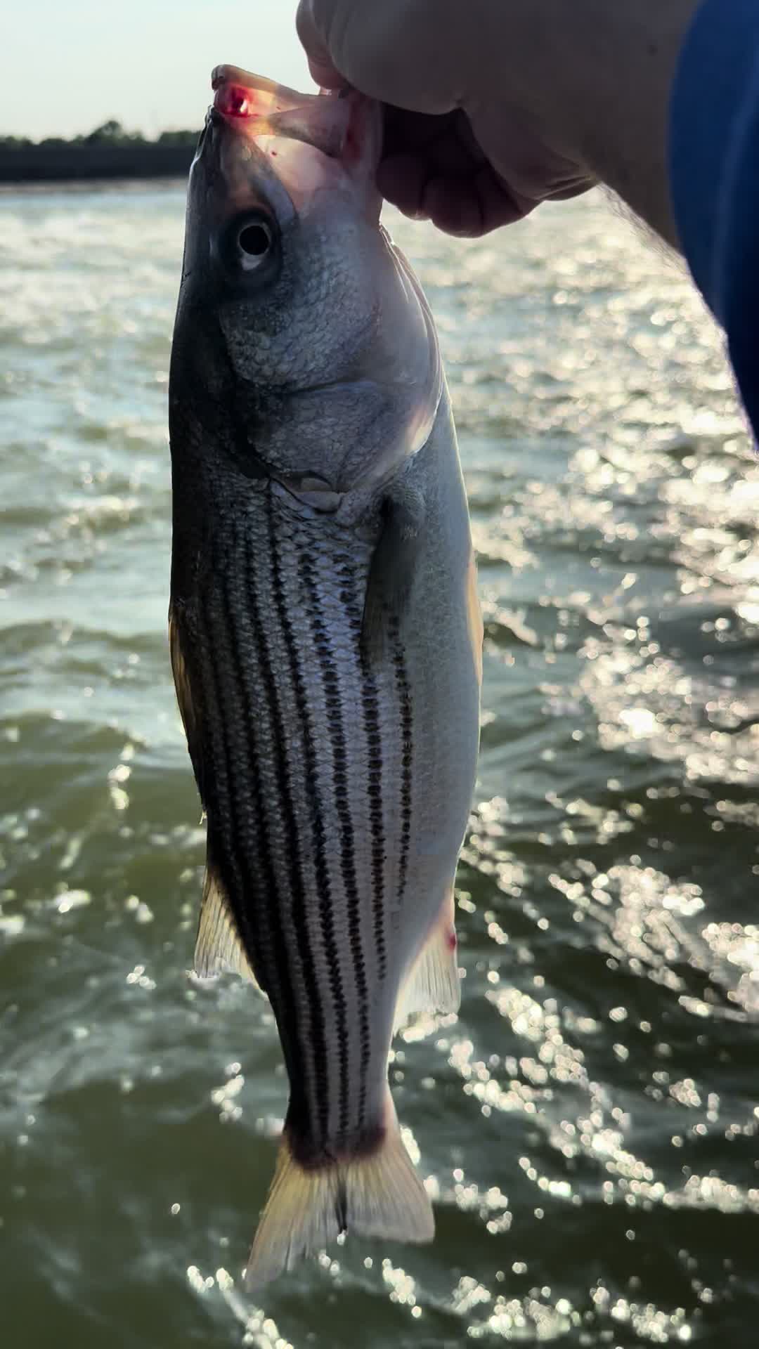 @Kentucky&ensp;Fishing
