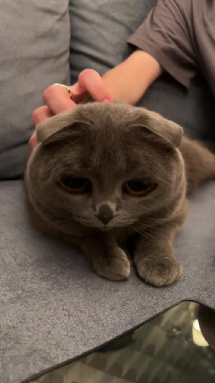 @даша