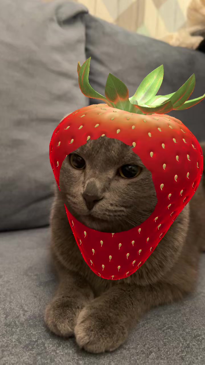 @даша