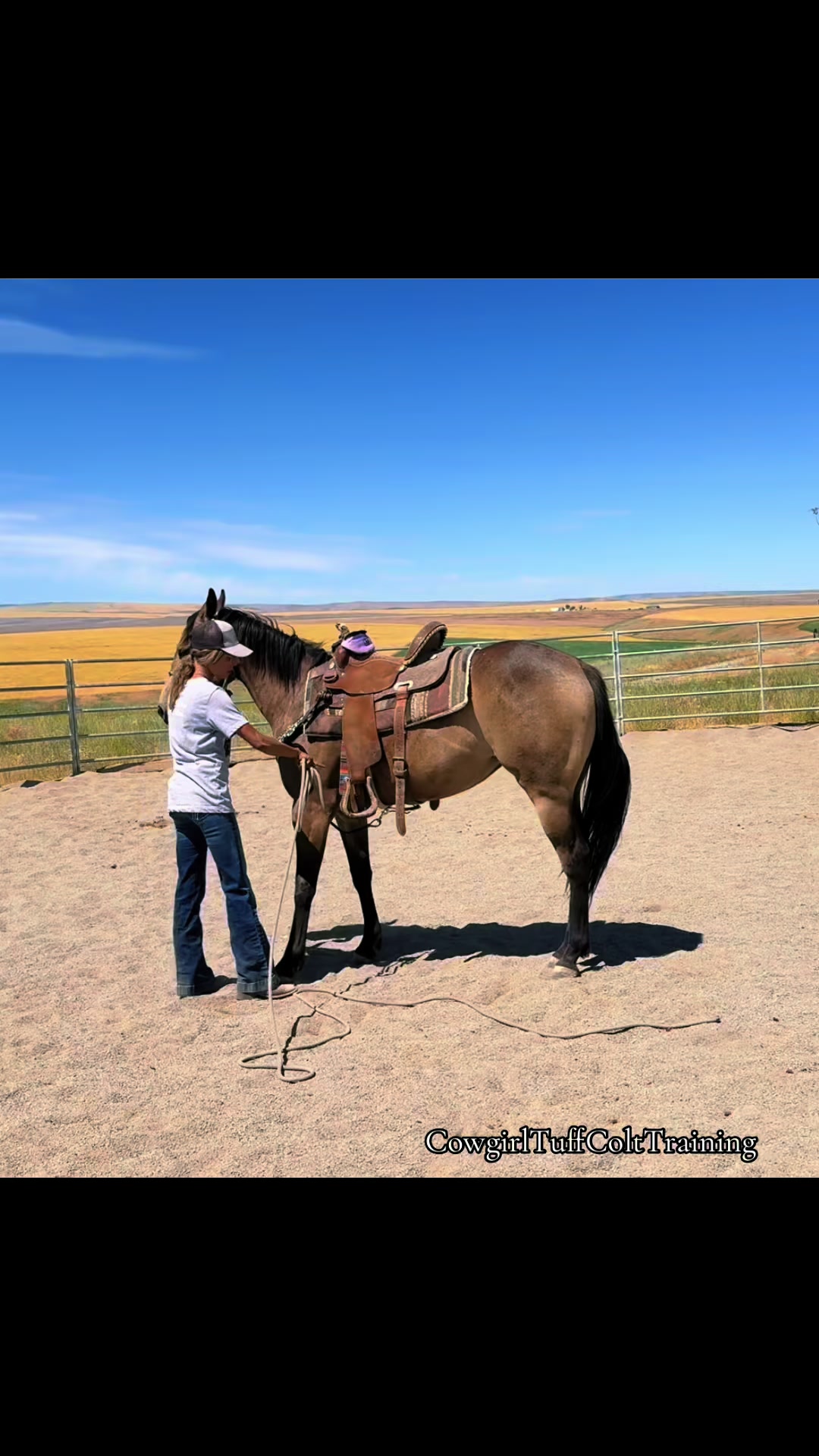 @Cowgirl Tuff Colt Training ❤️