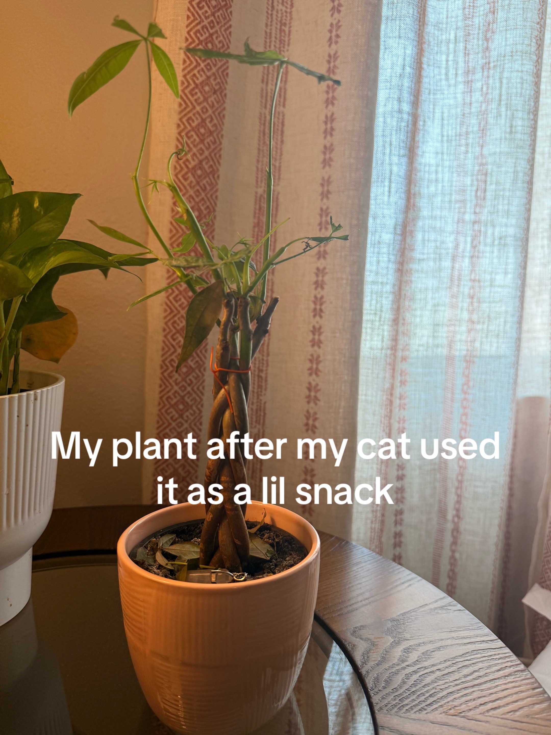 @yourfriendwiththefeels🥹