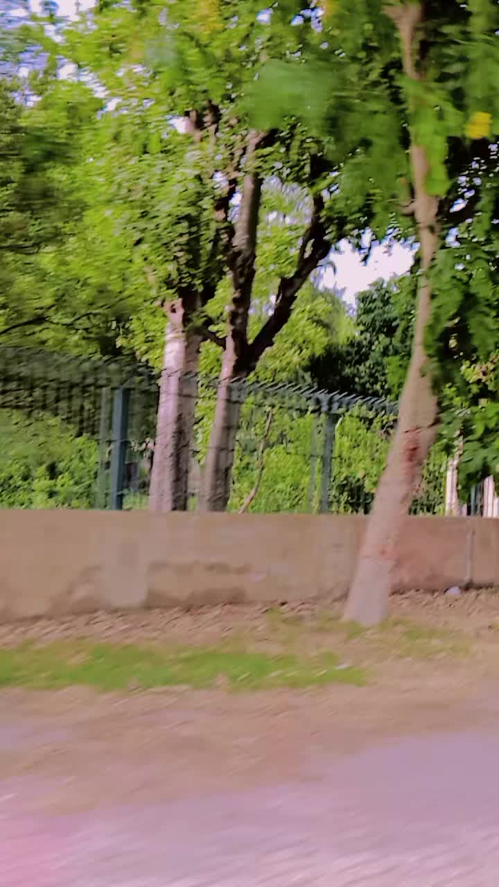 @anjumhaadi3