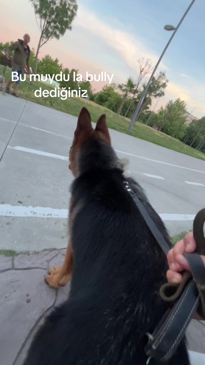 @yiğidooo