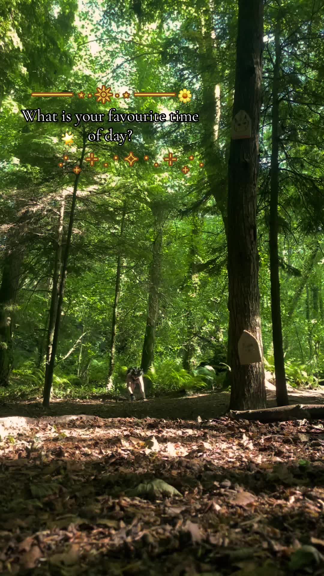 @─˚⊹🌿﹕ 𝙾𝚛𝚌𝚑𝚒𝚍 ﹕˖˚