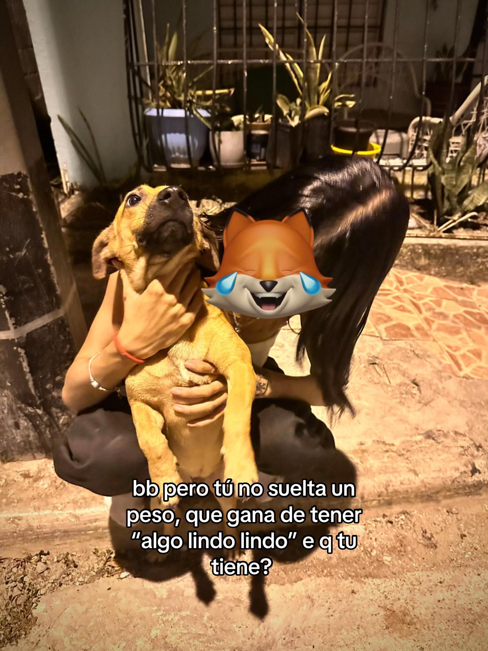 @crymiamor_