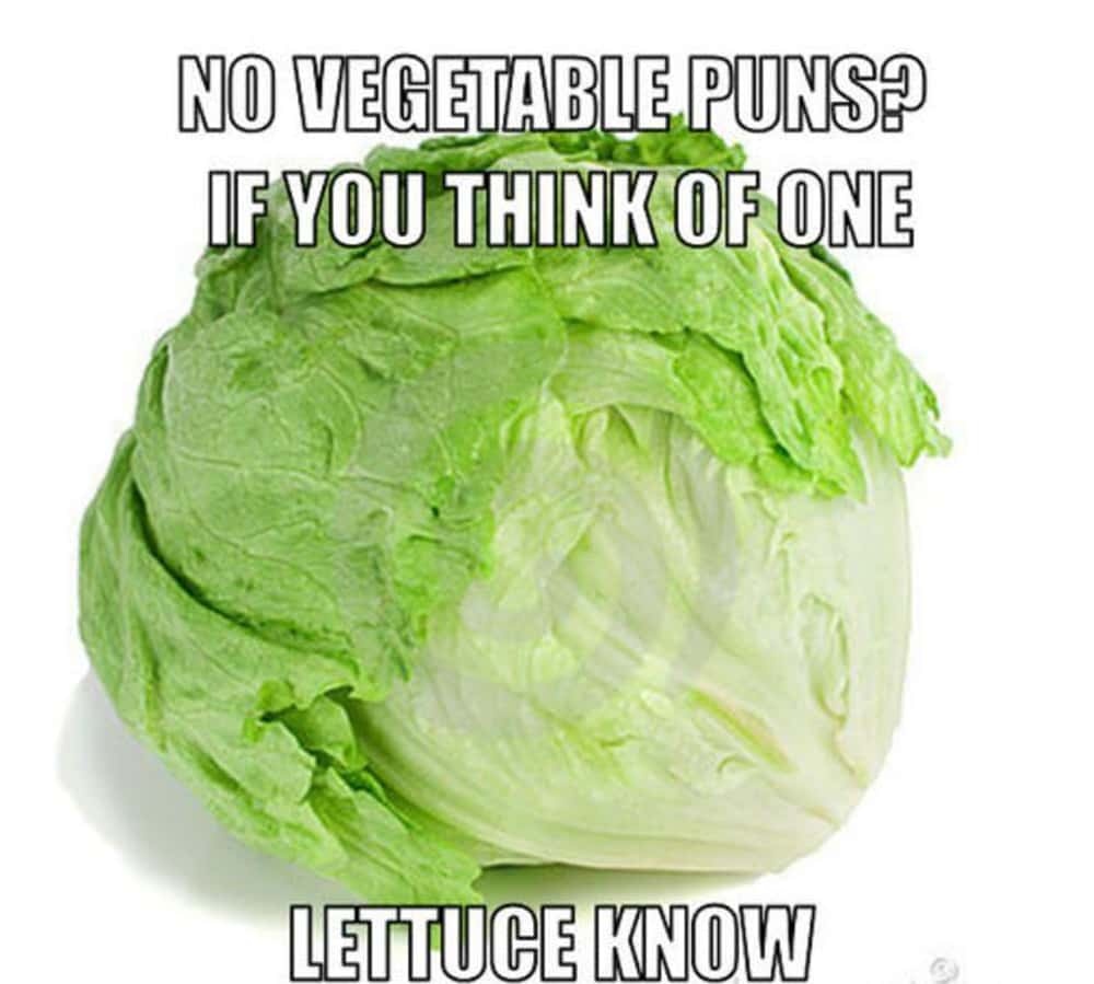 @Farmers Pick