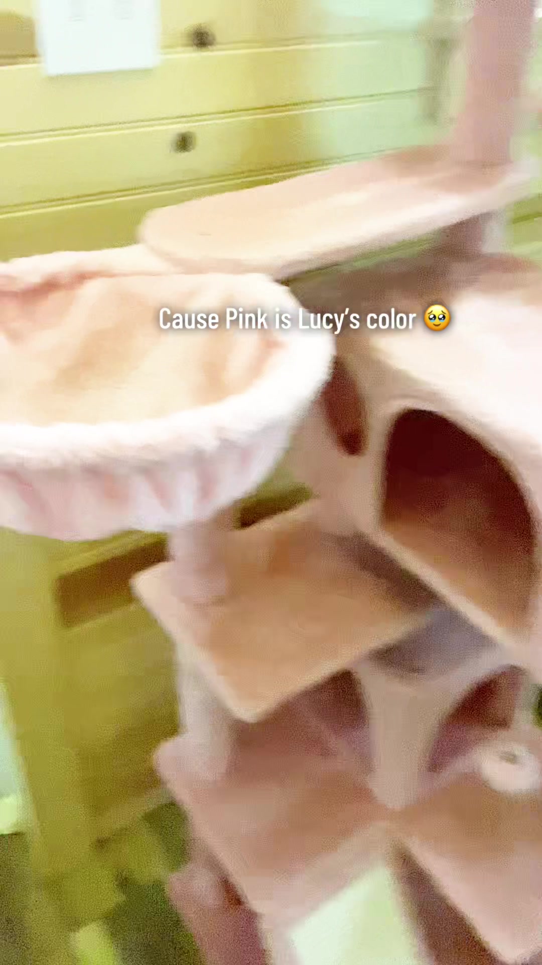 @Meg