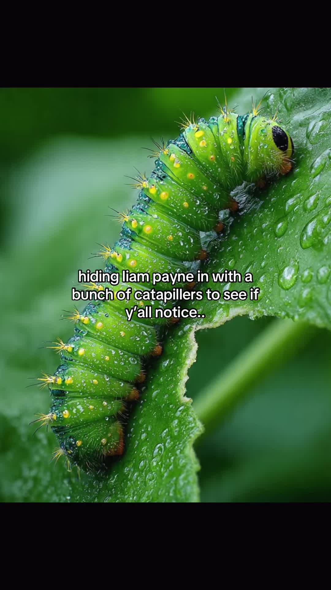 @𝐦𝐚𝐝𝐬𝐬𝐬౨ৎ