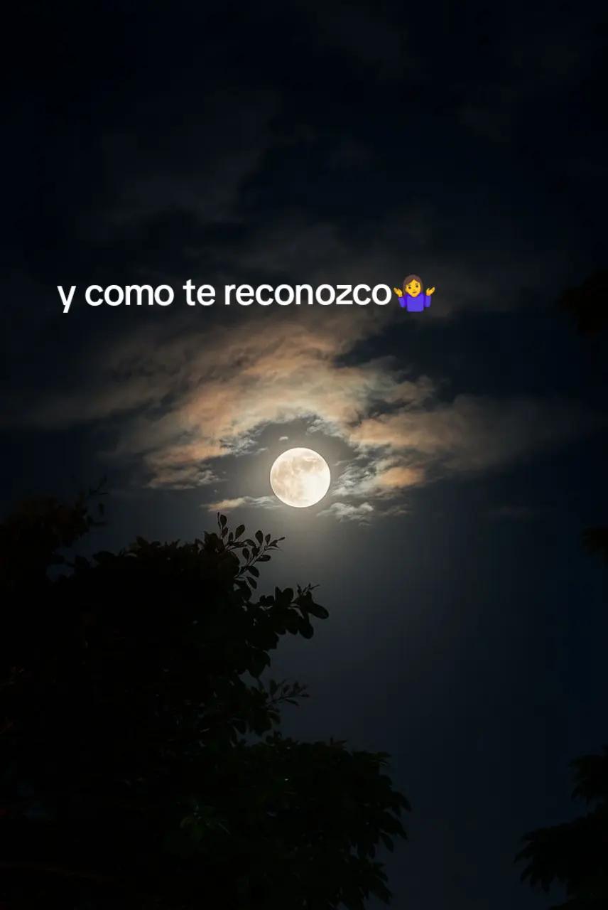 @♡ampii♡😝💞