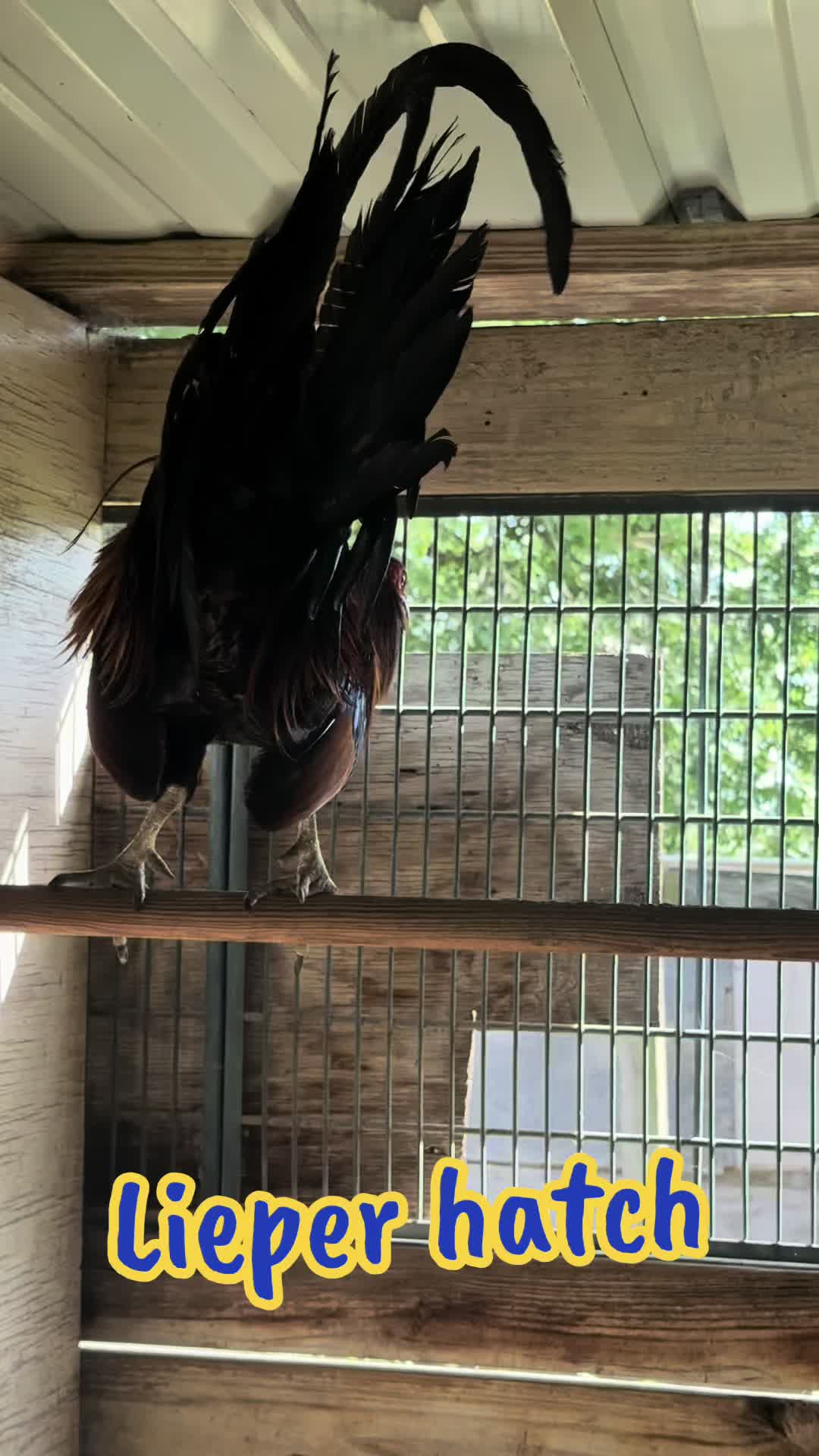 @Bryan Gamefarm