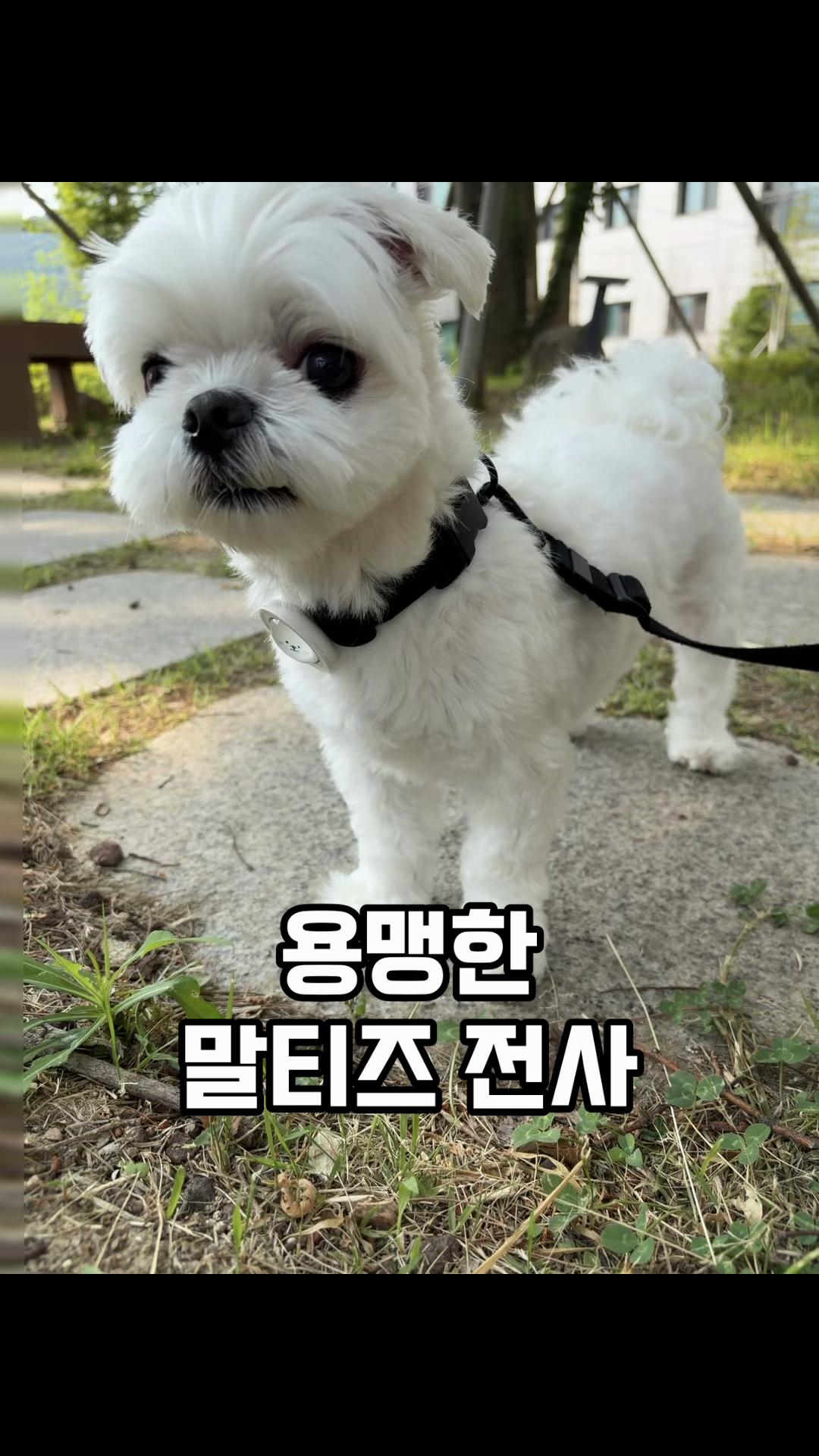 @박까까