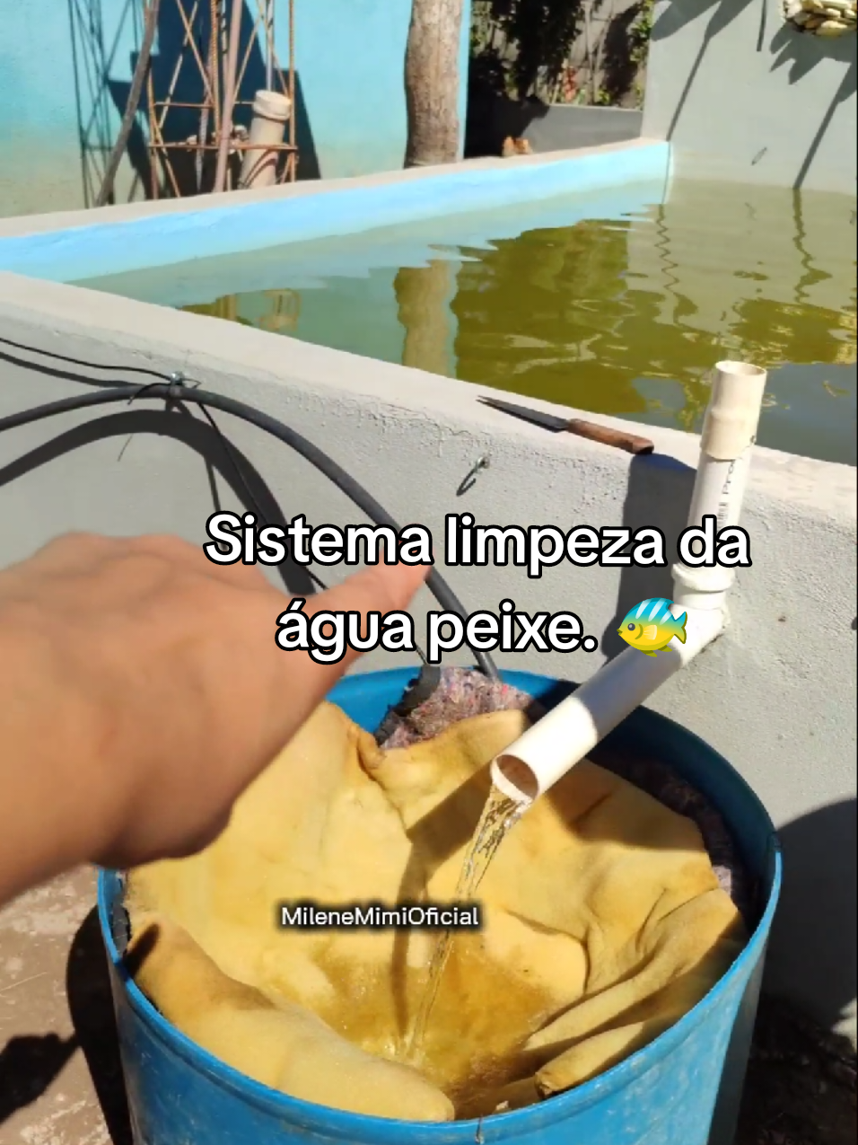 @Milene Mimi oficial