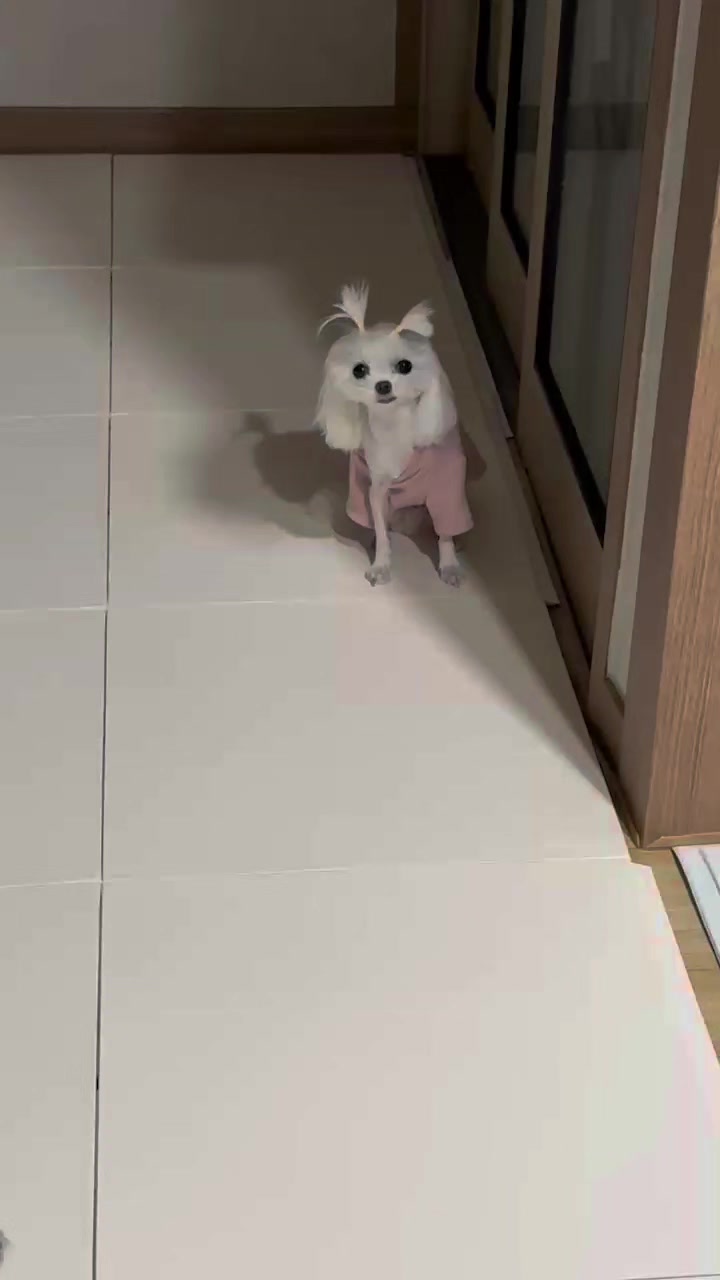 @쪼꼬소예