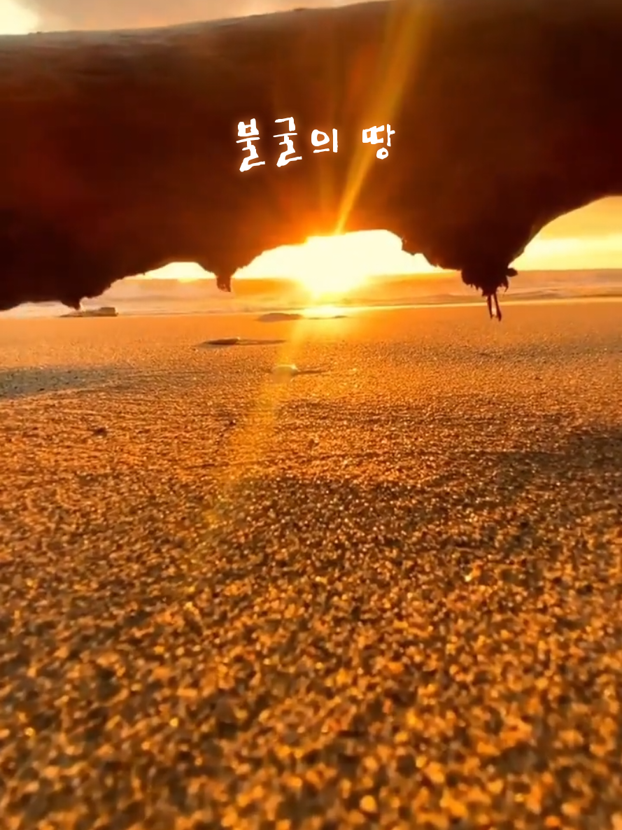 @펭수펭하🎶