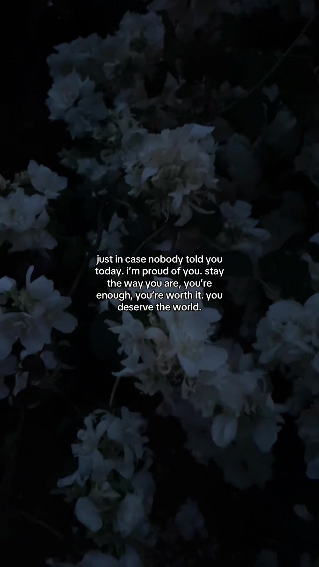 @solitude