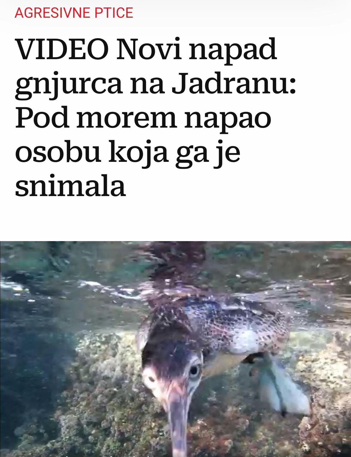 @Andjela Randjelovic