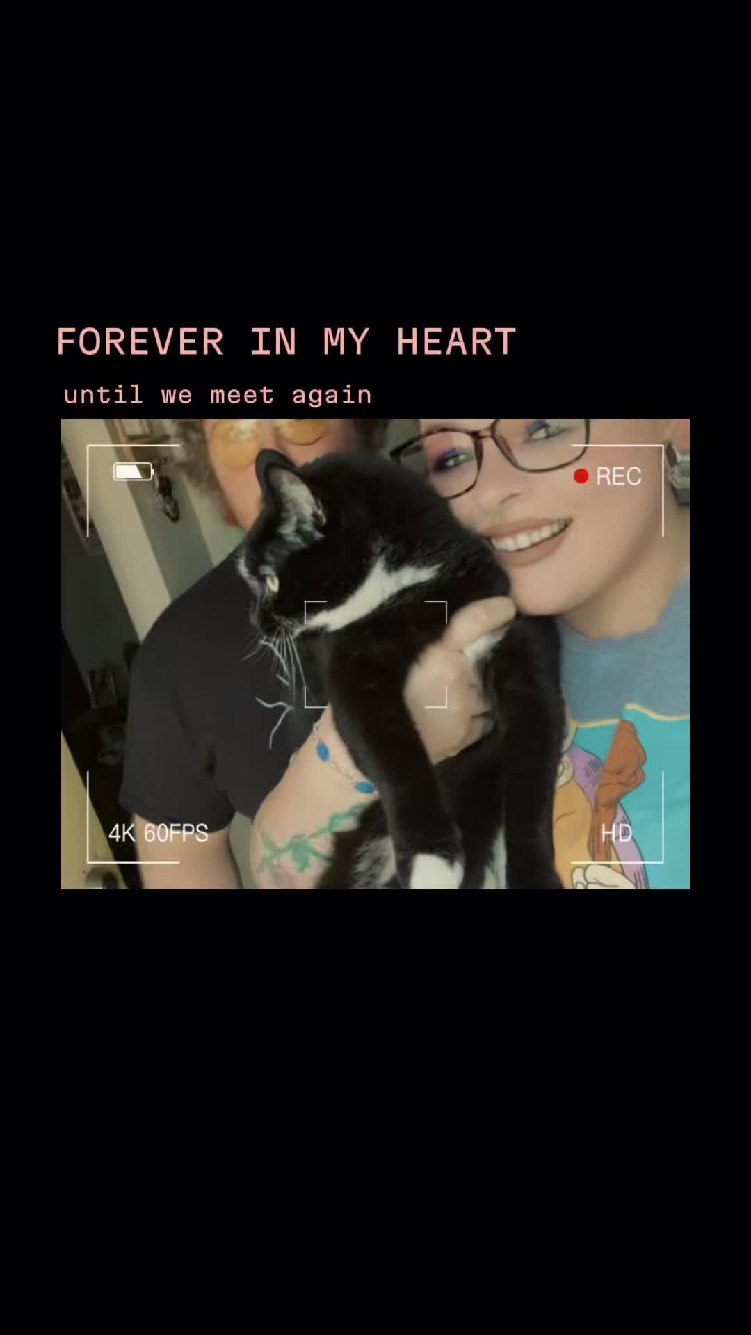 @Darkartwitch ⟭⟬