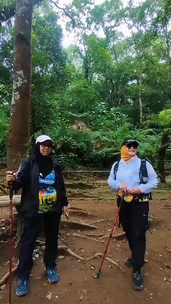 @@CINTA77